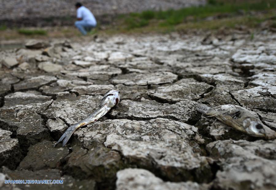 Unas 248.500 personas y 25.700 cabezas de ganado carecen de agua potable en la provincia nororiental china de Liaoning a causa una de las más graves sequías de la historia en aquella región.