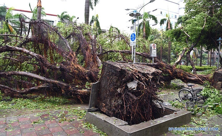Tres personas han muerto, una permanece desaparecida y otros 28 resultaron heridas hasta las 06:30 horas después de que el tifón Soudelor tocase tierra en el distrito de Hualien, este de Taiwan, a primeras horas de hoy sábado, informó el centro de operación de desastre de Taiwan.