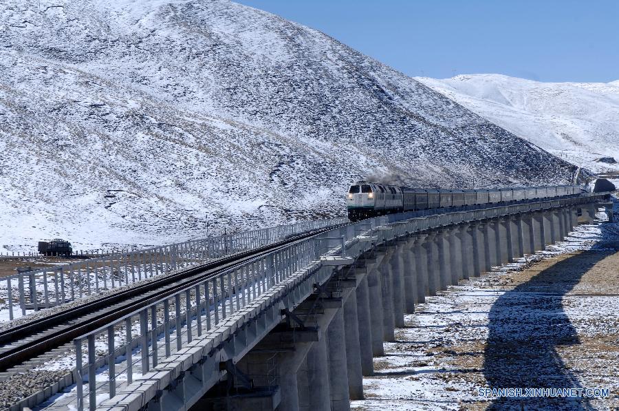 Durante los 50 años, más de 24,71 millones de viajes de pasajeros fueron realizados y mercancías de alrededor de 329.900 toneladas fueron transportadas.