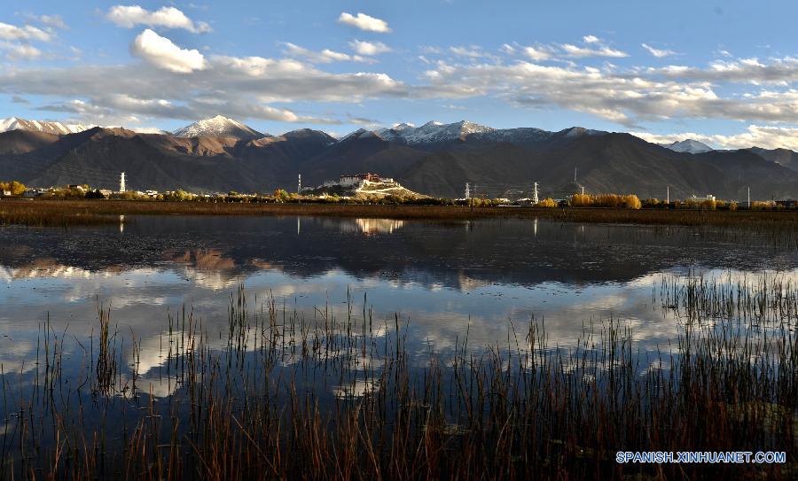 La foto tomada el 11 de agosto de 2015 muestra la vista de la reserva nacional de humedal de Lalu, el mayor humedal urbano del mundo, en la región autónoma del Tibet, en el suroeste de China. El Tibet, que es una de las áreas con mejor calidad ambiental en el mundo, ha evitado el desarrollo económico al precio de los recursos naturales. La mayor parte de la región mantiene sus estados naturales originales.