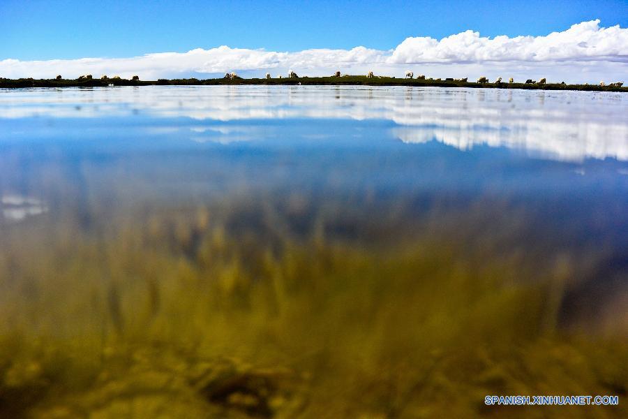 La foto muestra una pradera en el norte del Tibet. El Tibet, que es una de las áreas con la mejor calidad ambiental en el mundo, ha evitado el desarrollo económico al precio de los recursos naturales. La mayor parte de la región mantiene sus estados naturales originales.