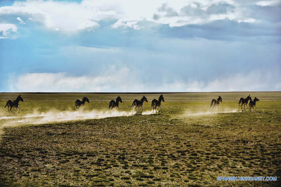 La foto muestra una reserva natural nacional en el Tibet. El Tibet, que es una de las áreas con la mejor calidad ambiental en el mundo, ha evitado el desarrollo económico al precio de los recursos naturales. La mayor parte de la región mantiene sus estados naturales originales.