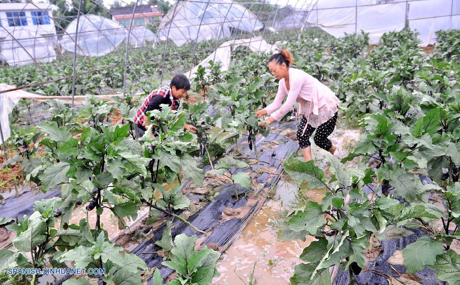 Tormentas de lluvia dejan 8 muertos y 18 desaparecidos en suroeste de China
