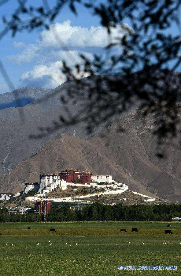 La foto mestra el Palacio Potala y el humedal a su frente. Este año marcael 50 aniversario del establecimiento dela Región Autónoma deTibet.