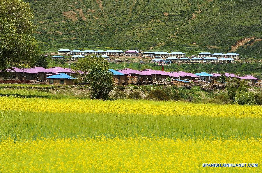 La foto mestra un pueblo tibetano. Este año marcael 50 aniversario del establecimiento dela Región Autónoma deTibet.