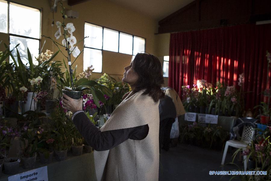 La ciudad de Buenos Aires vive, a unos d&iacute;as del comienzo de la primavera austral (22 de septiembre), su fiesta anual de las orqu&iacute;deas con una tradicional exposici&oacute;n que ofrece m&aacute;s de 200 variedades de la planta, exposiciones y seminarios.