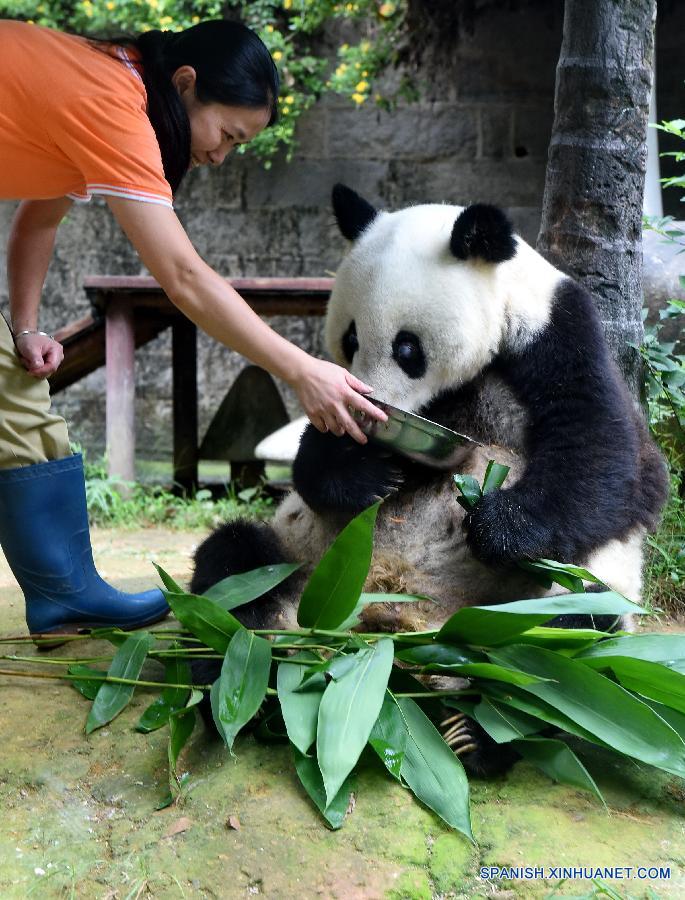 CHINA-FUJIAN-CENTENARIAN PANDA-BASI (CN)