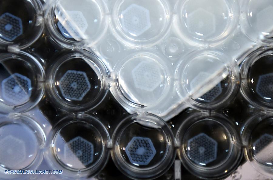 Un equipo chino ha utilizado una impresora especializada de tercera dimensi&oacute;n (3D) para producir secciones peque&ntilde;as del h&iacute;gado que podr&iacute;an ser utilizadas eventualmente para formar una versi&oacute;n artificial completa del &oacute;rgano, se anunci&oacute;.