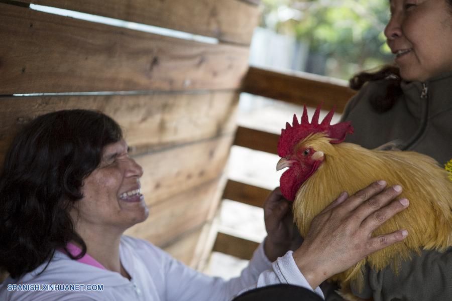 El jardín zoológico de Buenos Aires se sumó hoy jueves al Día Internacional del Bastón Blanco, en pos de fomentar la integración comunitaria de los invidentes.