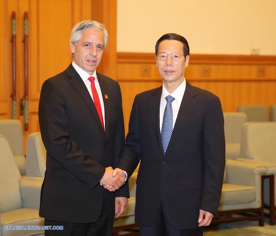 El viceprimer ministro chino Zhang Gaoli se reunió hoy con el vicepresidente de Bolivia, Álvaro García Linera.