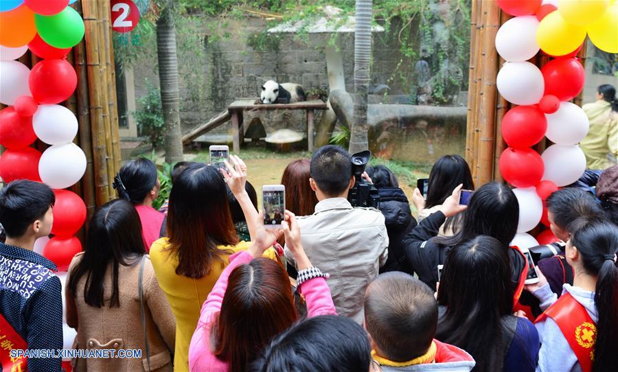 El tercer ejemplar de panda más viejo del mundo celebró su 35º cumpleaños, el equivalente a más de 100 años humanos, en la ciudad oriental china de Fuzhou, capital de la provincia de Fujian.