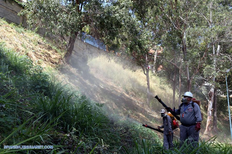 Un total de 4.500 casos sospechosos del virus zika han sido detectados en Venezuela, informó la ministra para la Salud, Luisana Melo.