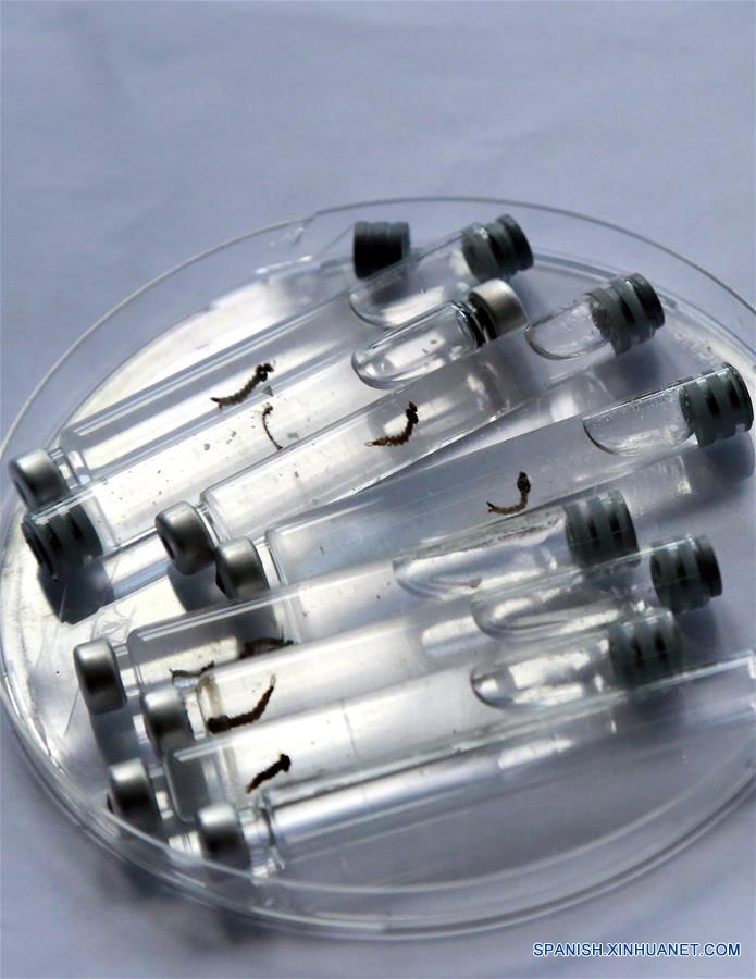COSTA RICA-SAN JOSE-HEALTH-ZIKA