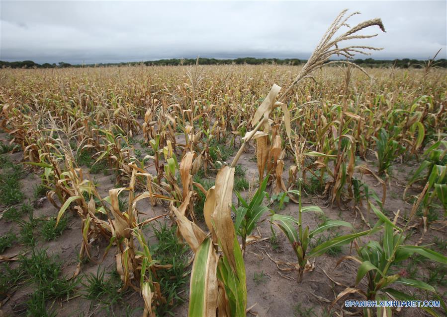 ZIMBABWE-HARARE-DROUGHT-STATE OF DISASTER