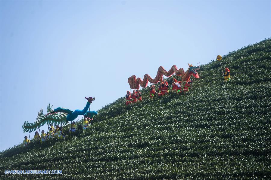 Los agricultores presentan danza del drag&oacute;n en un jard&iacute;n de t&eacute; en pueblo Dongshangai del condado Anji, Zhejiang, China, 18 de de febrero de 2016.
