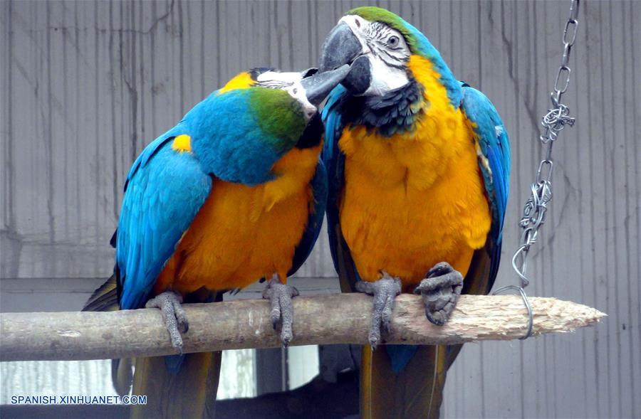 Zool&oacute;gico de Suzhou en Jiangsu, china.