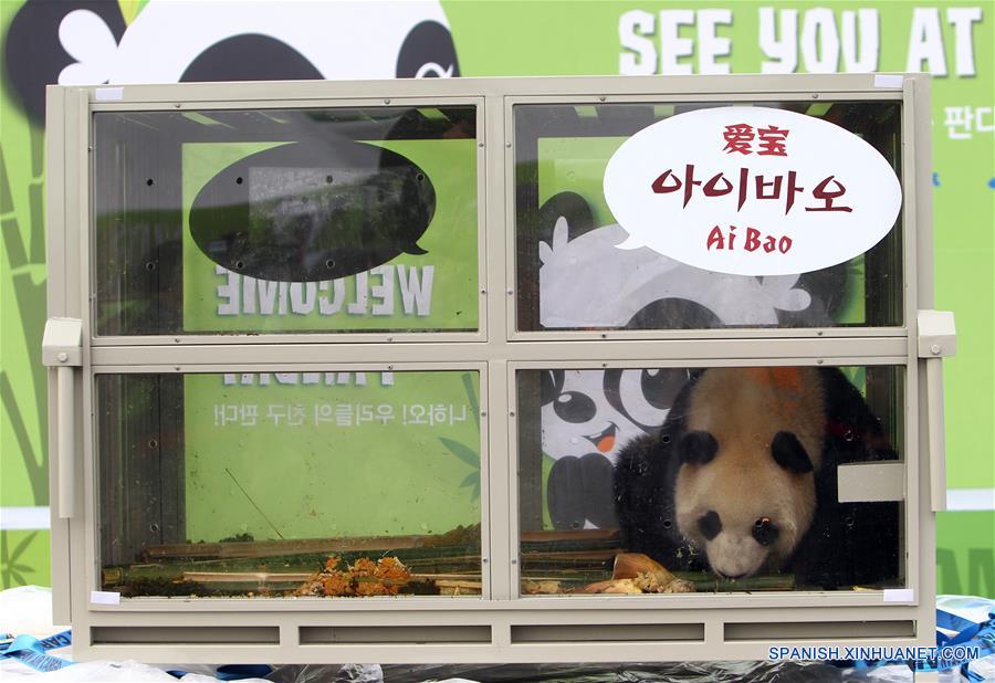 SOUTH KOREA-INCHEON-CHINA-GIANT PANDAS-ARRIVAL