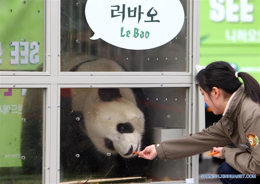 SOUTH KOREA-INCHEON-CHINA-GIANT PANDAS-ARRIVAL