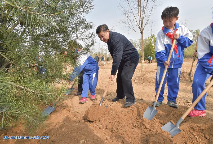 El presidente chino, Xi Jinping, instó al desarrollo silvícola de China durante un acto de plantación voluntaria de árboles celebrado hoy martes en Beijing.