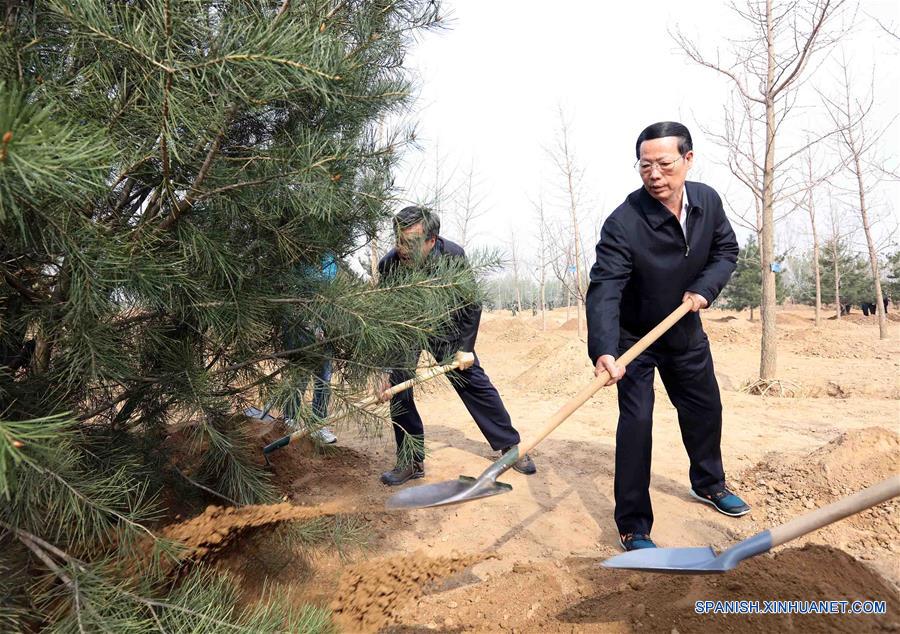 CHINA-BEIJING-LEADERS-TREE PLANTING (CN) 