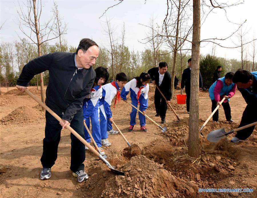 CHINA-BEIJING-LEADERS-TREE PLANTING (CN) 