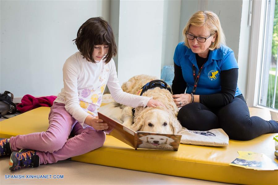 Eslovenia: leer con perros en una biblioteca en Kranj