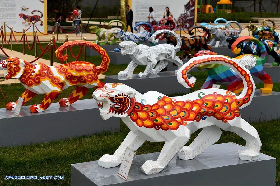 Un total de 120 esculturas de tigres pintadas, creadas por estudiantes y maestros de la Universidad Nacionalidades de Yunnan, se exhibieron en Kunming.