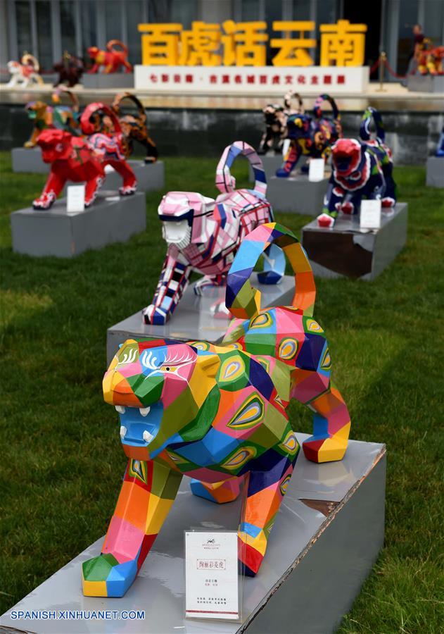 Un total de 120 esculturas de tigres pintadas, creadas por estudiantes y maestros de la Universidad Nacionalidades de Yunnan, se exhibieron en Kunming.