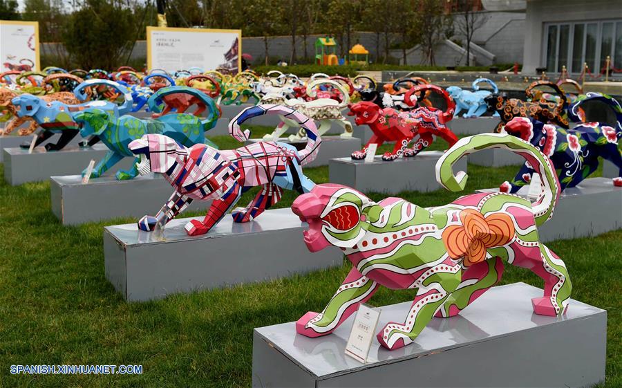 Un total de 120 esculturas de tigres pintadas, creadas por estudiantes y maestros de la Universidad Nacionalidades de Yunnan, se exhibieron en Kunming.