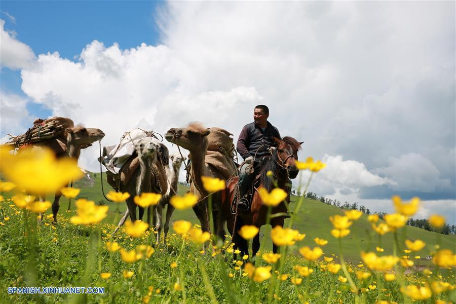 Los pastores del grupo étnico kazajo, se encuentran ocupados transfiriendo su ganado hacia las pasturas de verano.