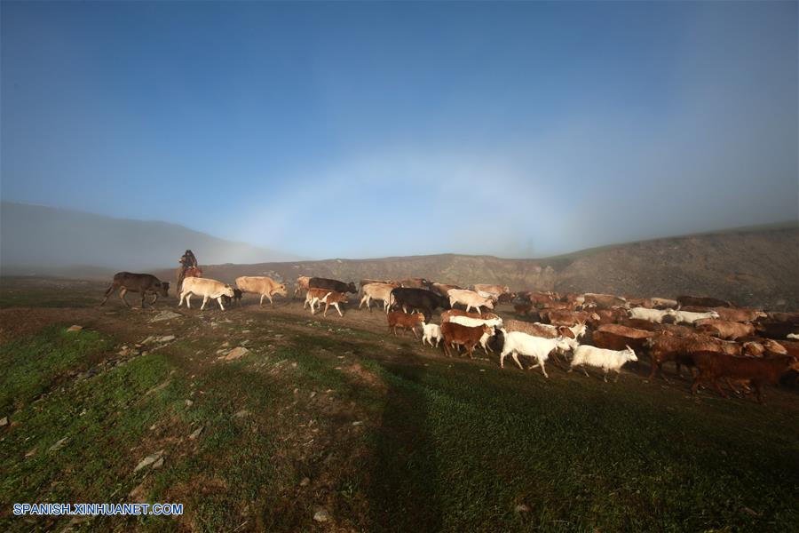 Los pastores del grupo étnico kazajo, se encuentran ocupados transfiriendo su ganado hacia las pasturas de verano. Los pastores del grupo étnico kazajo, se encuentran ocupados transfiriendo su ganado hacia las pasturas de verano.
