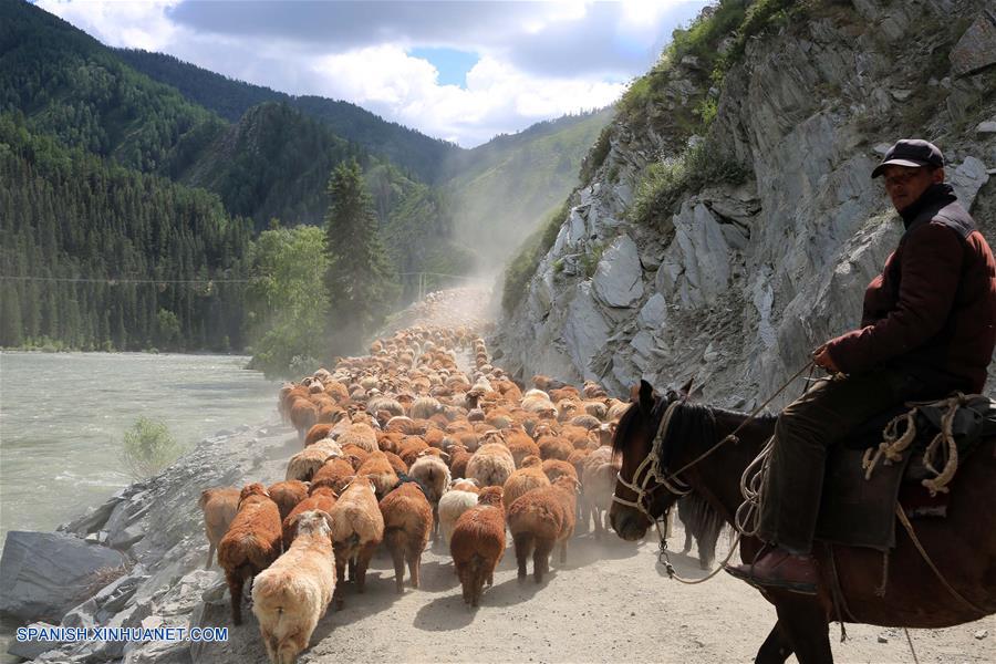Los pastores del grupo &eacute;tnico kazajo, se encuentran ocupados transfiriendo su ganado hacia las pasturas de verano.