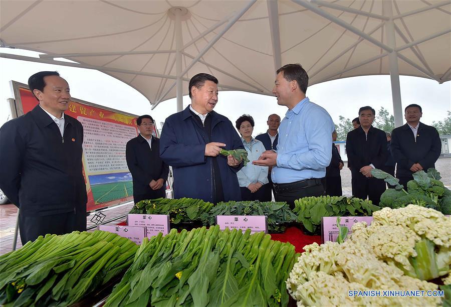 CHINA-NINGXIA-XI JINPING-TOUR (CN)