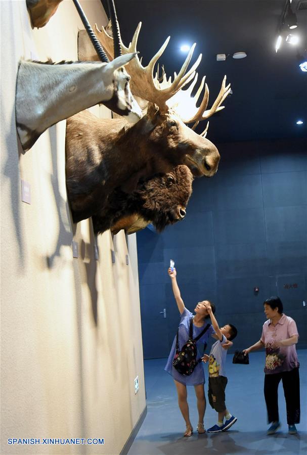 Exhibici&oacute;n de animales silvestres en el Museo de Historia Natural de Zhejiang