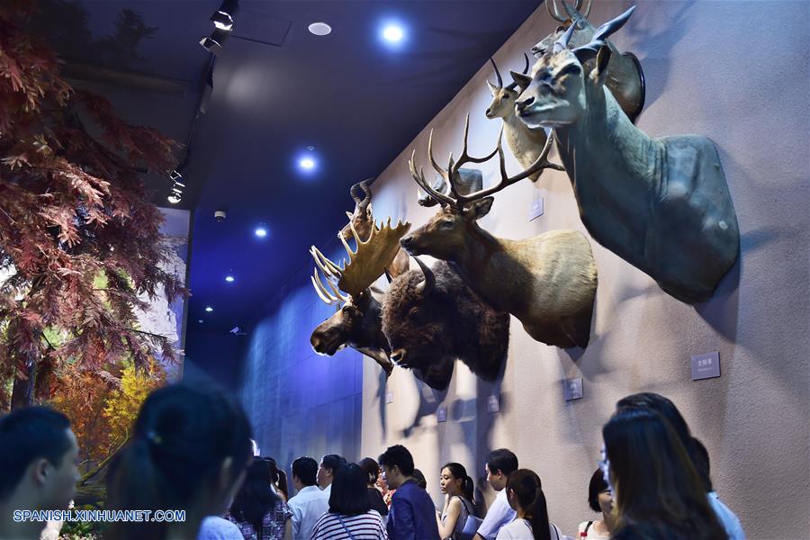 Exhibici&oacute;n de animales silvestres en el Museo de Historia Natural de Zhejiang