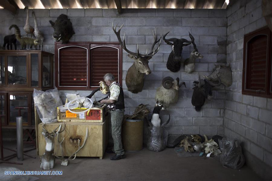 La taxidermia ha marcado la vida del experto Pedro Damonte, quien se formó en una institución creada en 1970, que luego acabó dirigiendo.