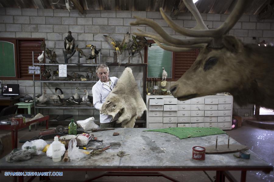 La taxidermia ha marcado la vida del experto Pedro Damonte, quien se formó en una institución creada en 1970, que luego acabó dirigiendo.