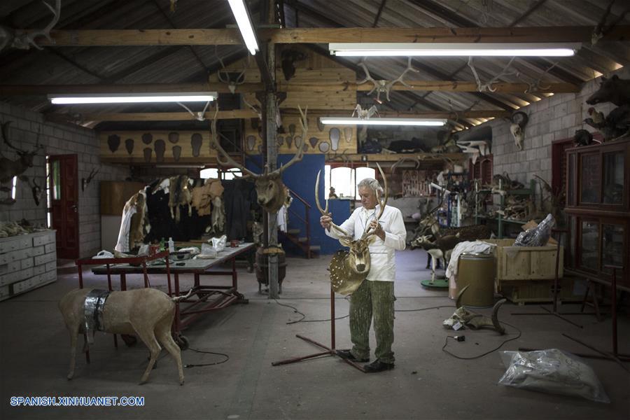 La taxidermia ha marcado la vida del experto Pedro Damonte, quien se formó en una institución creada en 1970, que luego acabó dirigiendo.