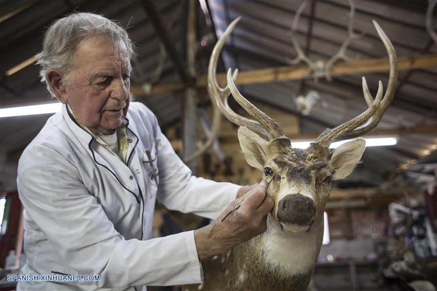 La taxidermia ha marcado la vida del experto Pedro Damonte, quien se formó en una institución creada en 1970, que luego acabó dirigiendo.