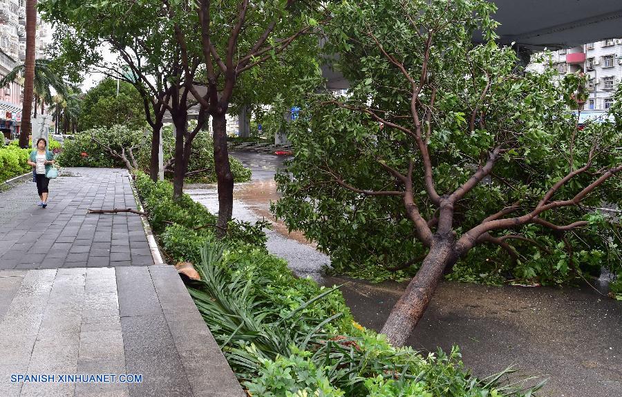 El tif&oacute;n 'Meranti' toc&oacute; tierra a las 03:05 hora local de hoy en el distrito de Xiang'an, ciudad de Xiamen, en la provincia china oriental de Fujian, con vientos de hasta 48 metros por segundo.