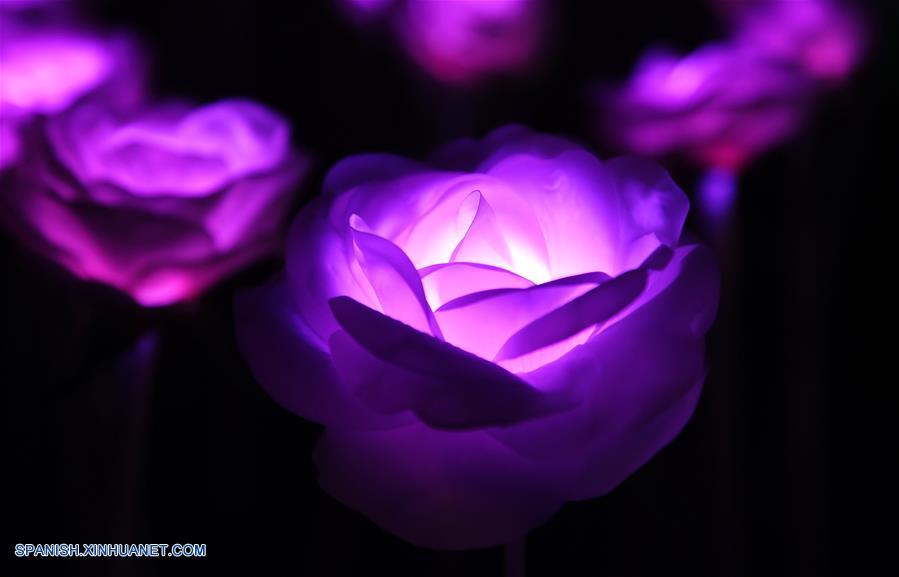 Un espectáculo de luz que consiste de 30,000 rosas LED fue abierto al público el 1 de octubre.