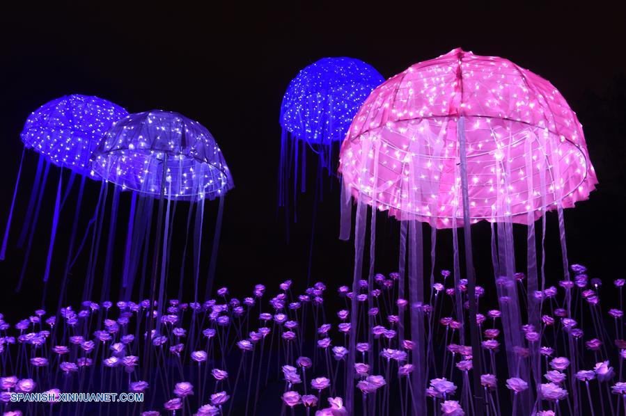 Un espectáculo de luz que consiste de 30,000 rosas LED fue abierto al público el 1 de octubre.
