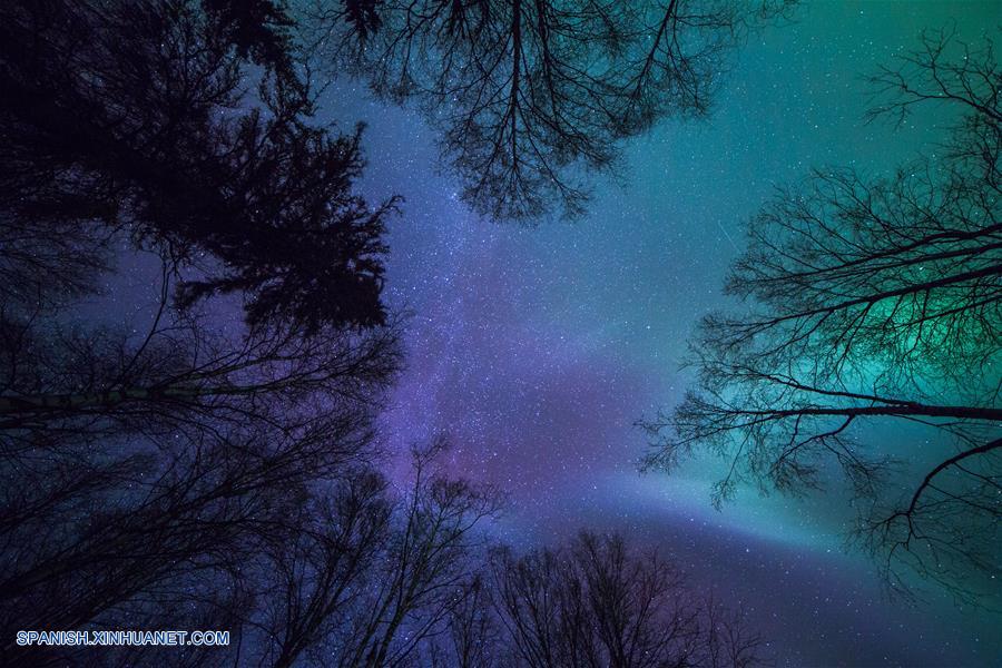 La aurora boreal, o 'luces del norte', ilumina el cielo sobre la Zona Estatal de Recreación del río Chena, cerca de Fairbanks, estado de Alaska, Estados Unidos de América