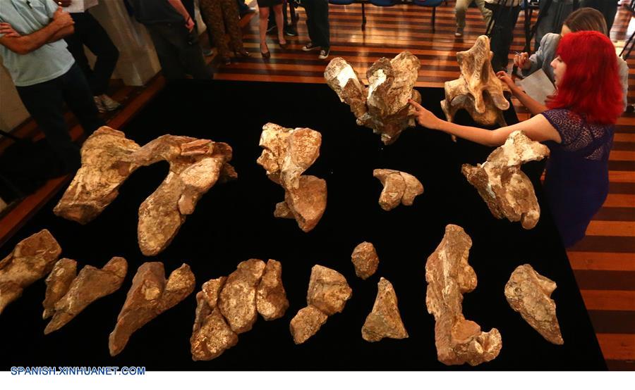 Científicos brasileños anunciaron el miércoles el descubrimiento del mayor dinosaurio encontrado en el país en el municipio Presidente Prudente.