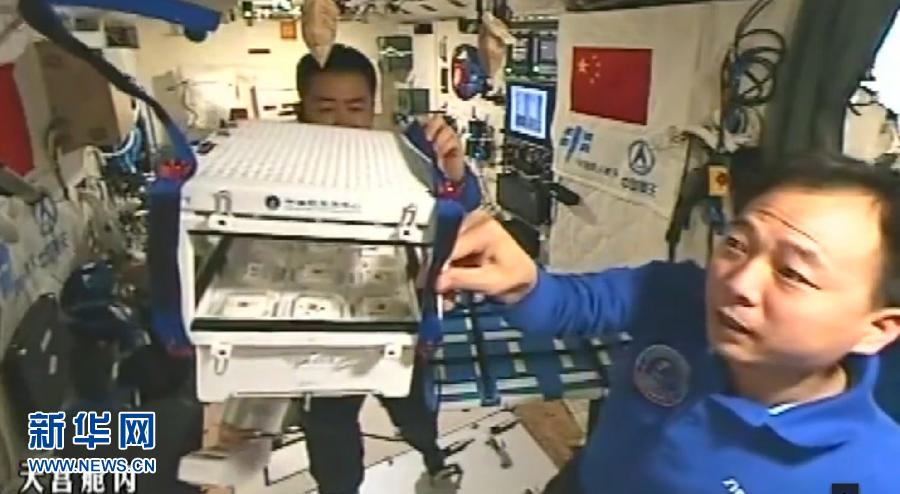 Saludos a todos. Hoy es 11 de noviembre, mi vigesimocuarto día a bordo del Tiangong-2. Soy el corresponsal espacial de Xinhua Jing Haipeng.