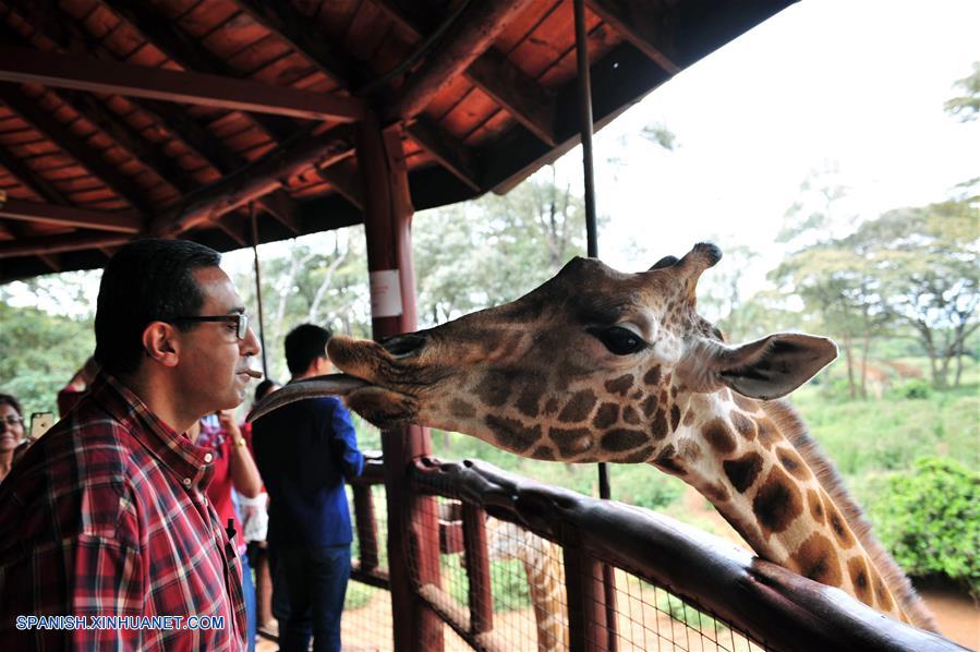Centro de la Jirafa, fundado en 1979, es parte de un movimiento que intenta salvar a las jirafas, ya que algunas especies de este animal se encuentran amenazadas.