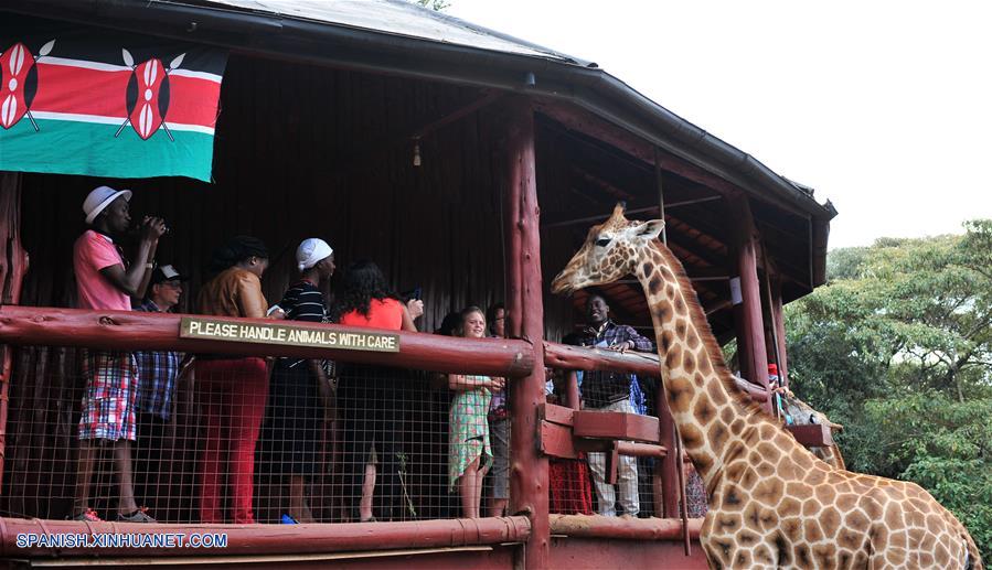 Centro de la Jirafa, fundado en 1979, es parte de un movimiento que intenta salvar a las jirafas, ya que algunas especies de este animal se encuentran amenazadas.