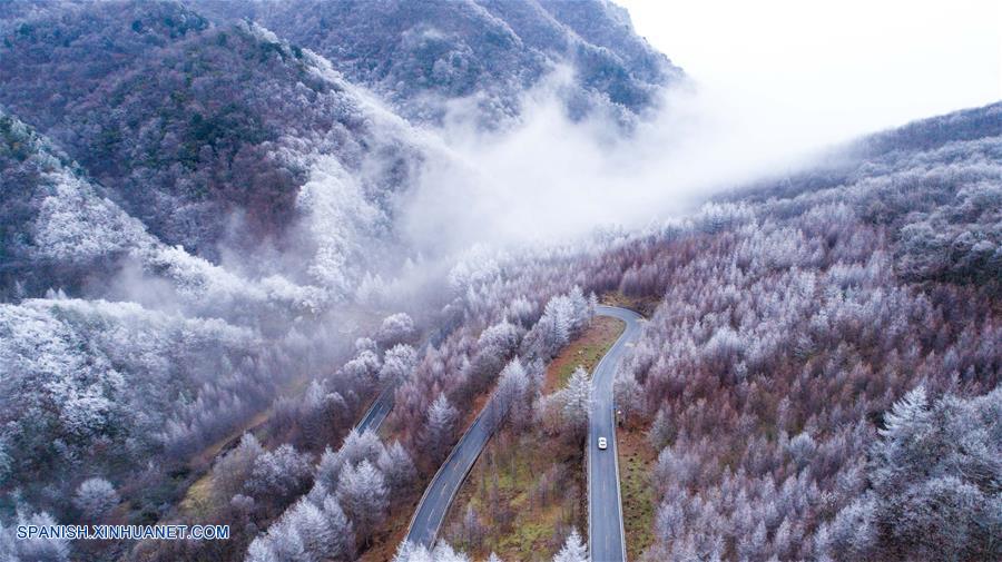 Hubei: Paisaje de bosque cubierto por nieve en Shennongjia