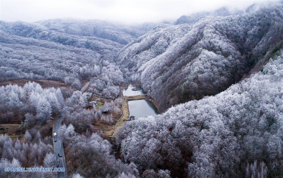 Hubei: Paisaje de bosque cubierto por nieve en Shennongjia