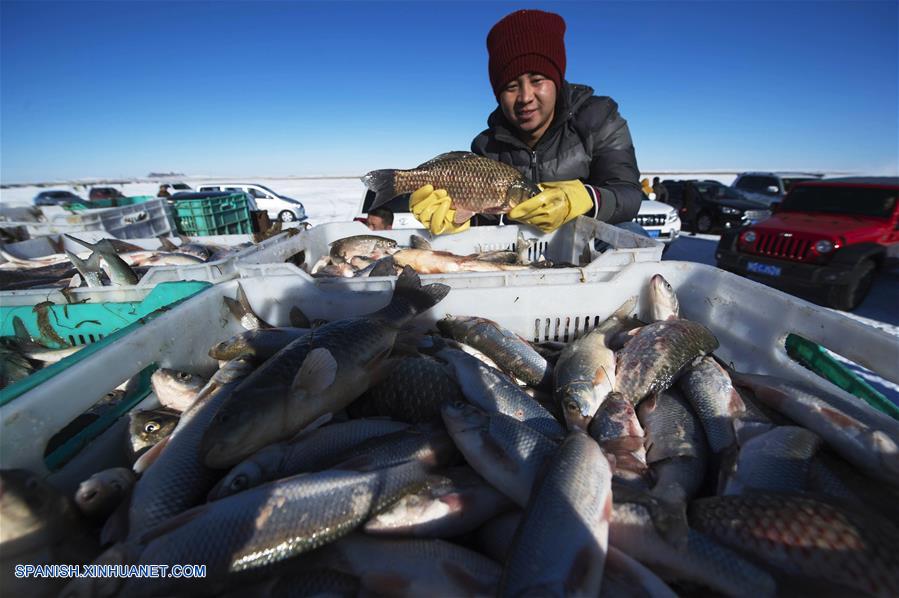 El Lago Dalinor es una importante base de producción pesquera de Mongolia Interior.